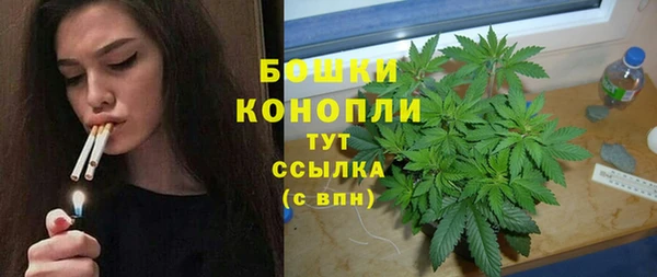 мдпв Медногорск
