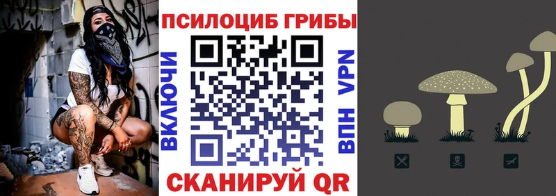 купить закладку  Грозный  Псилоцибиновые грибы Psilocybe 